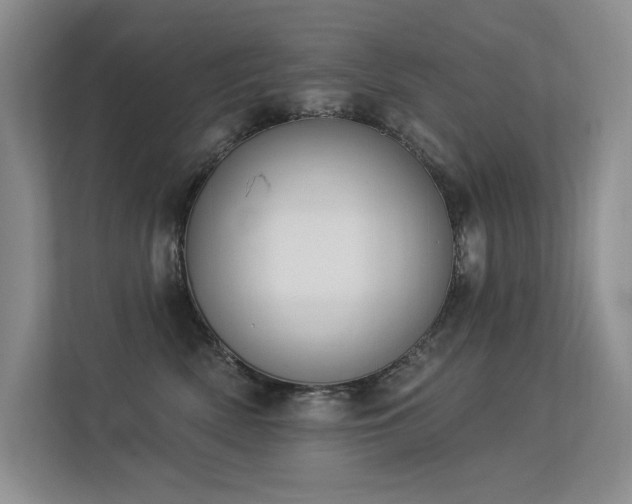 X0000113360522200909151238