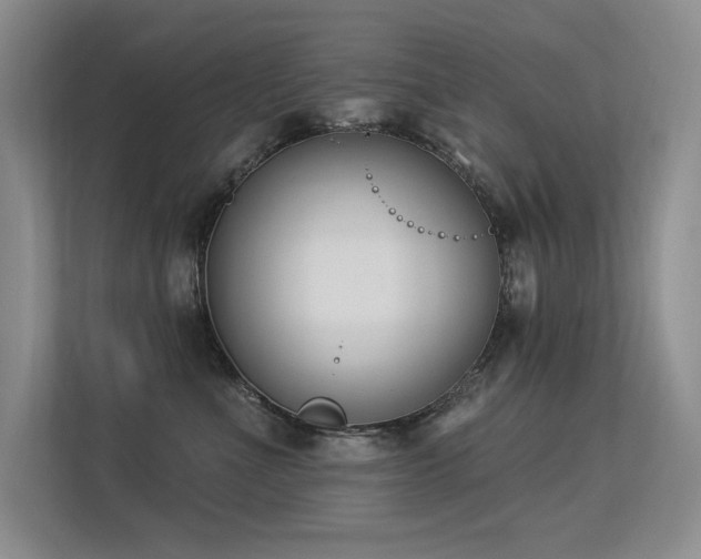 X0000113360523200909151238