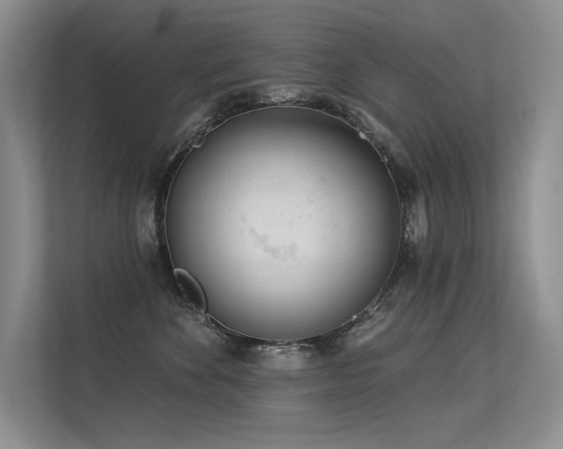 X0000113360524200909151238