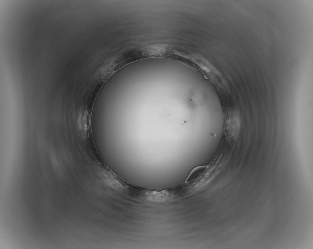 X0000113360525200909151238