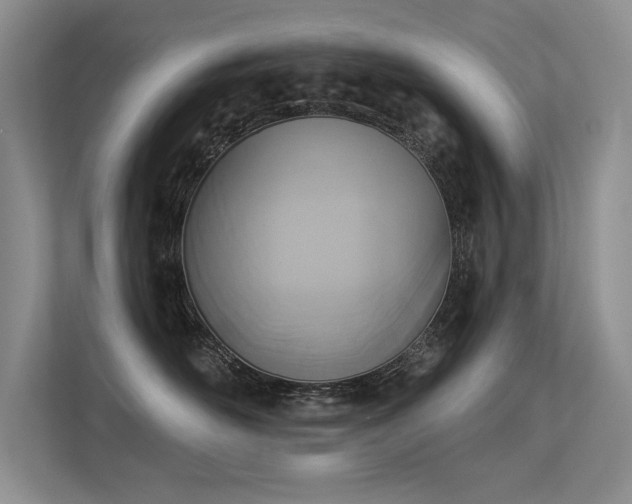 X0000113360526200909151238