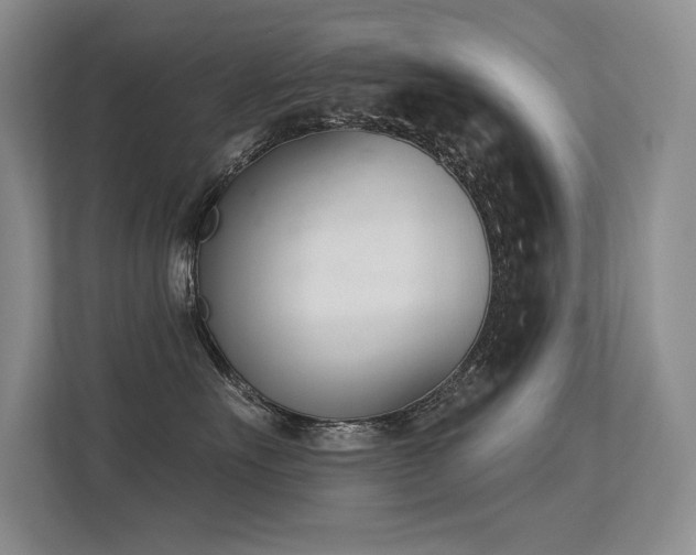 X0000113360527200909151238
