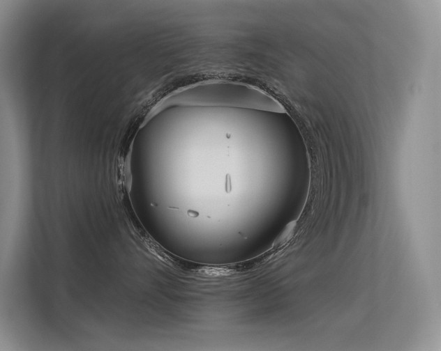 X0000113360528200909151238