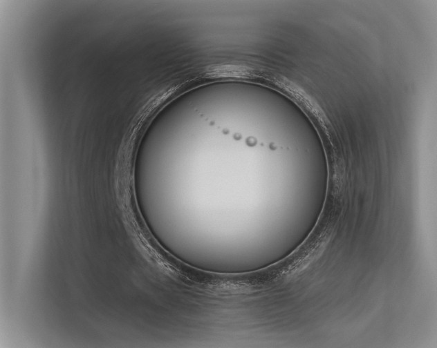 X0000113360529200909151237