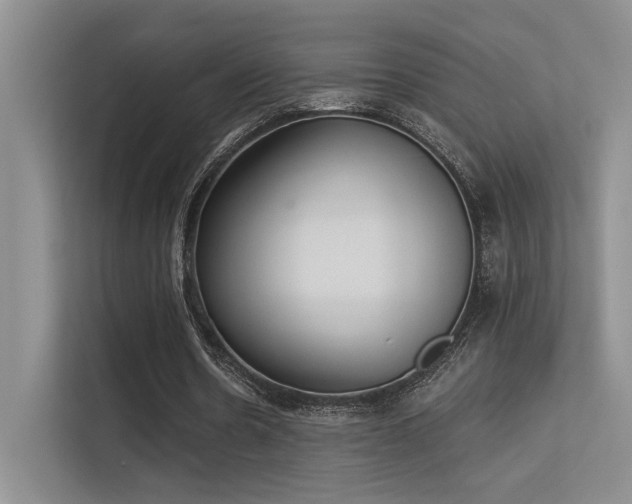 X0000113360530200909151237