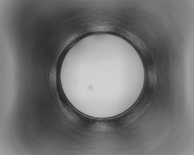 X0000113360534200909151237