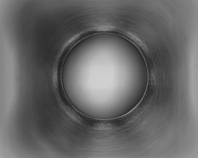 X0000113360535200909151237
