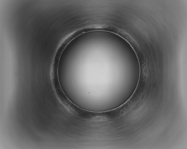 X0000113360536200909151237