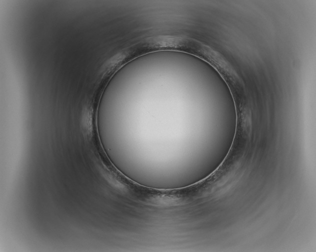 X0000113360537200909151237