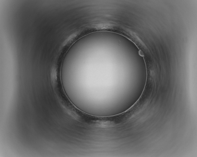 X0000113360539200909151237