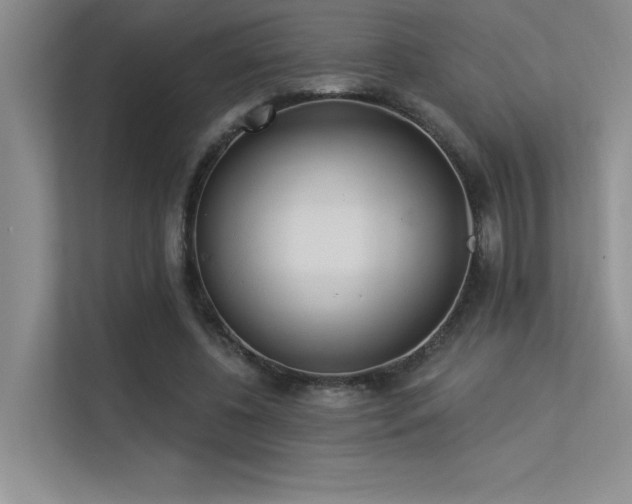 X0000113360540200909151237