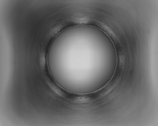X0000113360541200909151237
