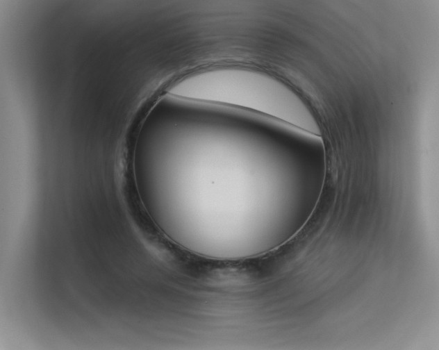 X0000113360544200909151237