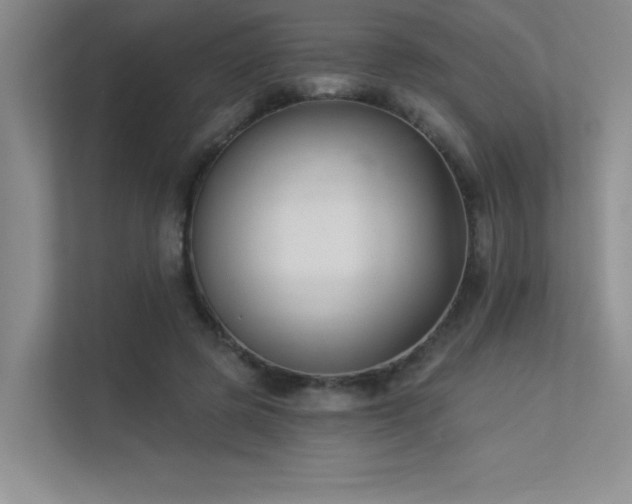 X0000113360545200909151237