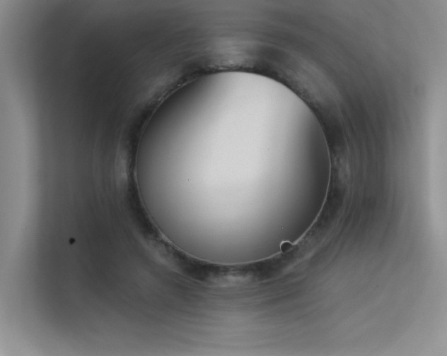 X0000113360546200909151237