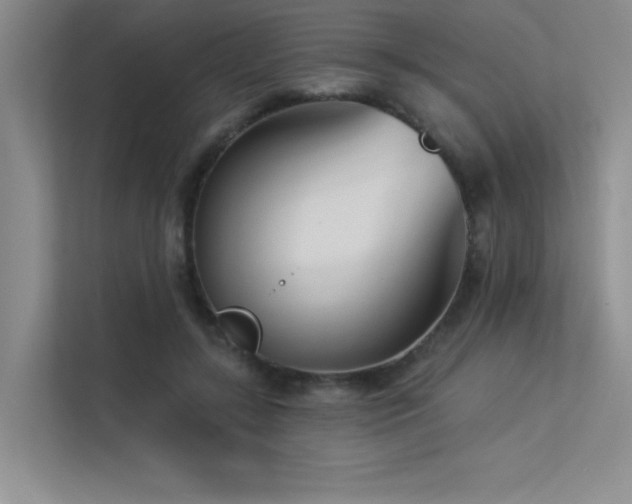 X0000113360547200909151237