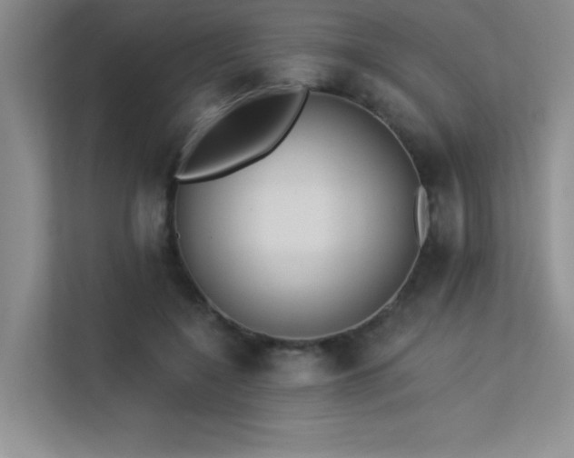 X0000113360548200909151237