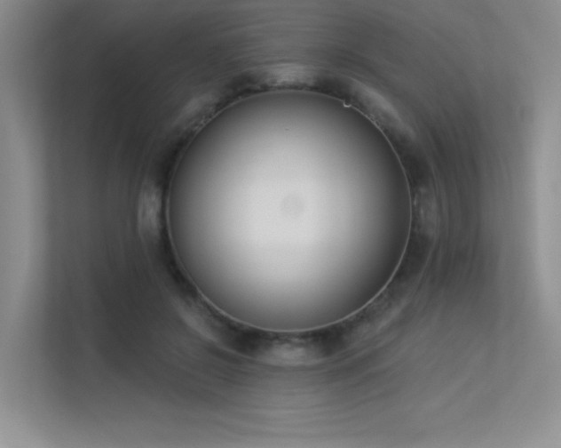 X0000113360550200909151237