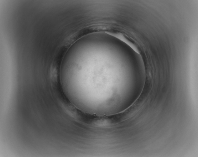 X0000113360551200909151237