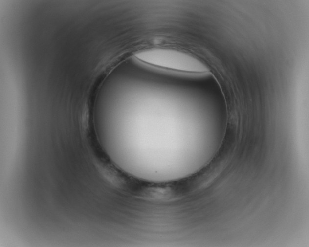 X0000113360552200909151237