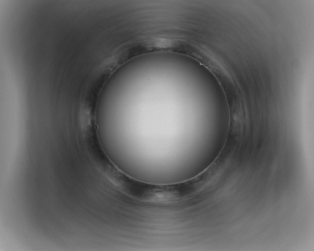 X0000113360555200909151237