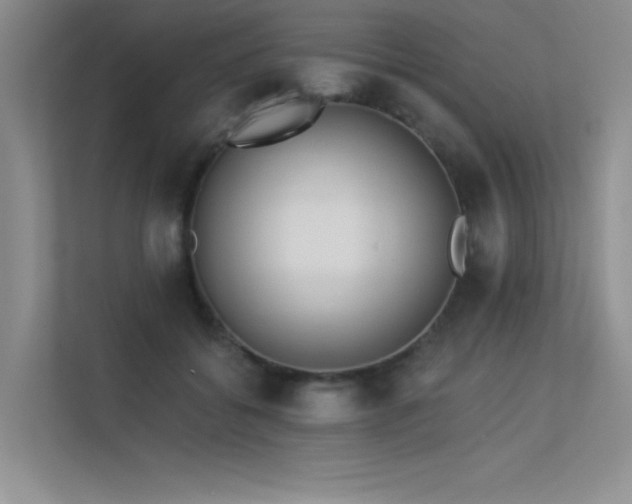X0000113360556200909151237
