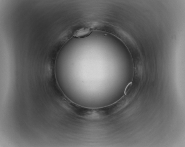 X0000113360558200909151237