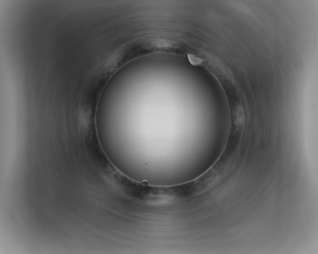 X0000113360559200909151237