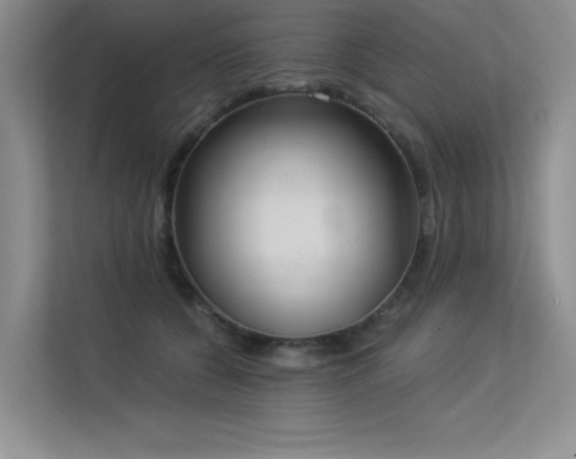 X0000113360560200909151237