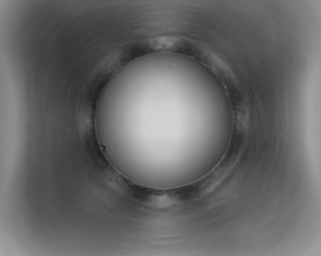 X0000113360561200909151237