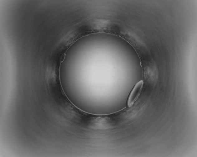 X0000113360566200909151238