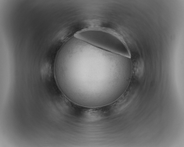X0000113360568200909151238