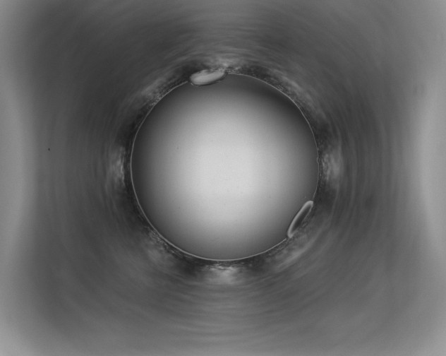 X0000113360570200909151238