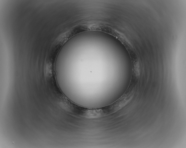 X0000113360571200909151238
