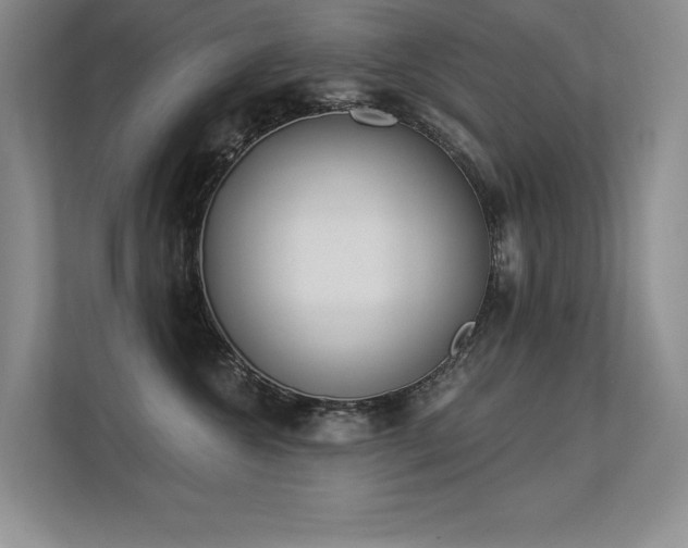 X0000113360572200909151238