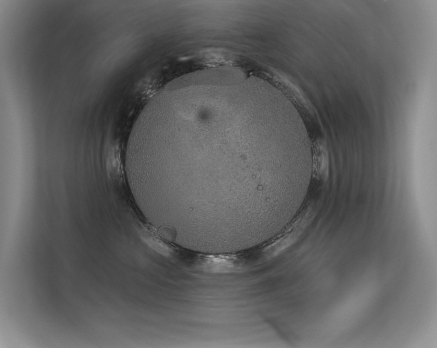 X0000113360573200909151238