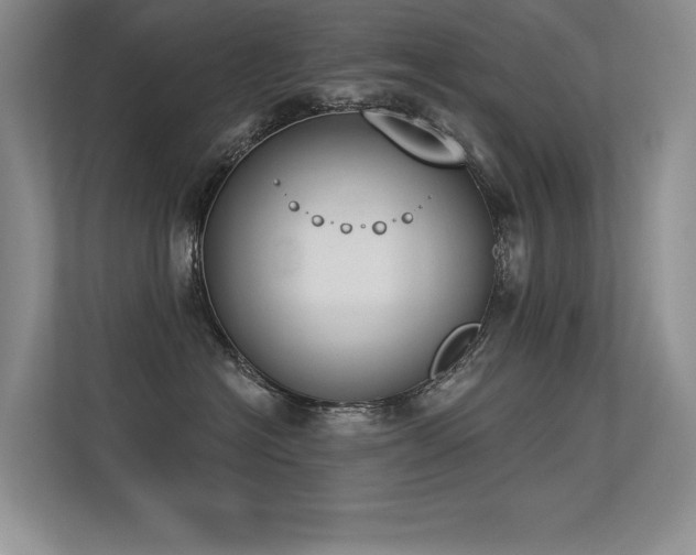 X0000113360574200909151238