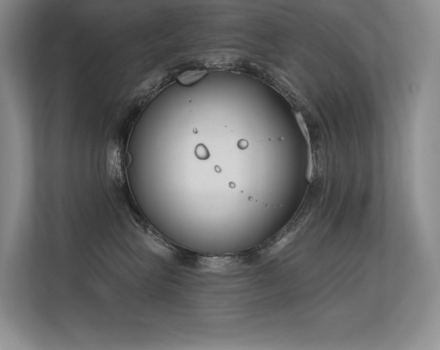 X0000113360575200909151238