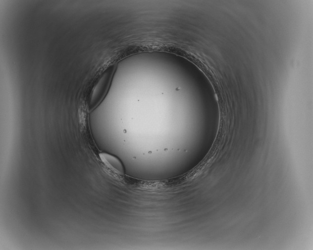 X0000113360576200909151238