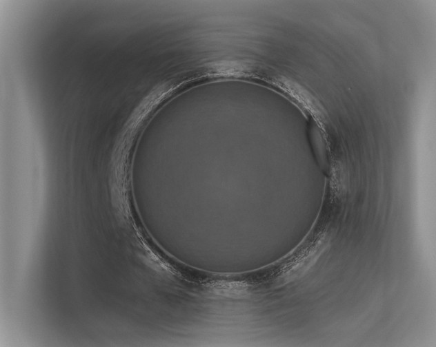 X0000113360577200909151237