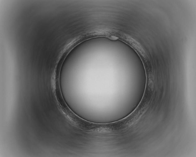 X0000113360578200909151237