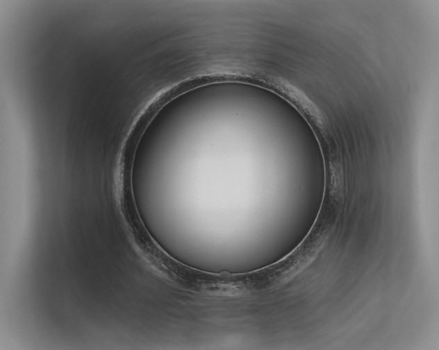 X0000113360580200909151237