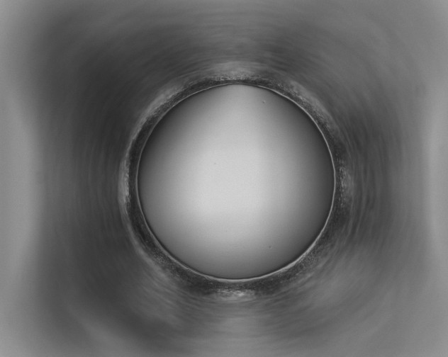 X0000113360582200909151237