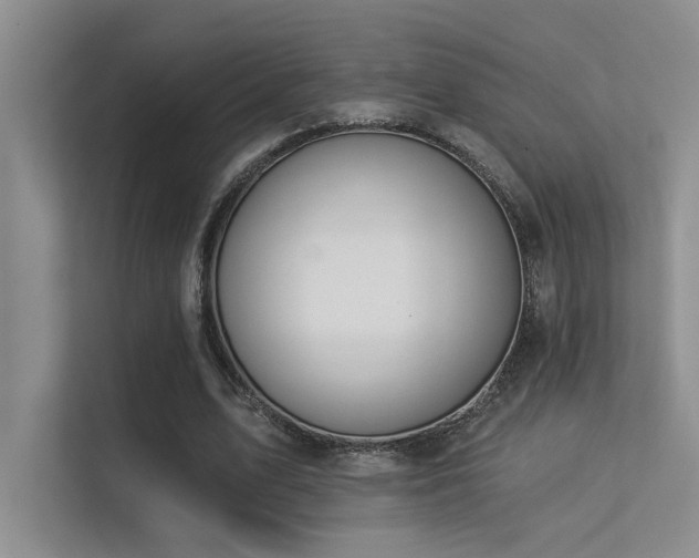 X0000113360583200909151237