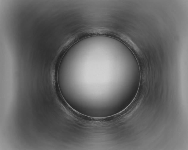 X0000113360585200909151237
