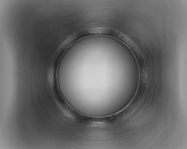 X0000113360586200909151237