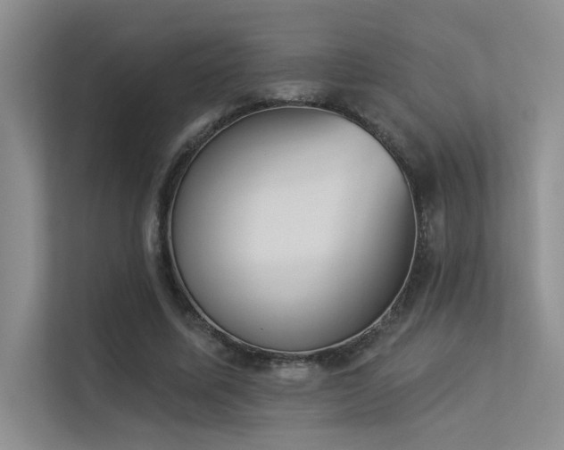 X0000113360587200909151237