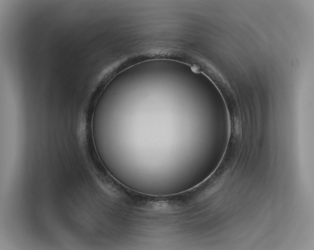 X0000113360588200909151237