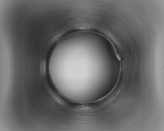 X0000113360589200909151237