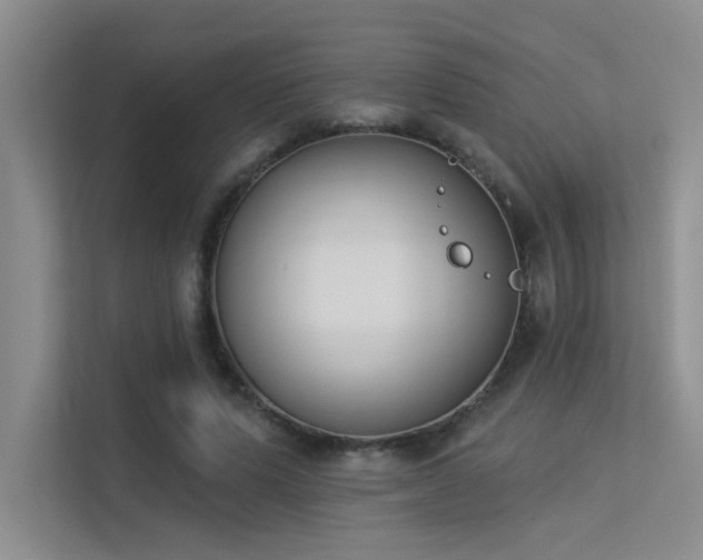 X0000113360591200909151237